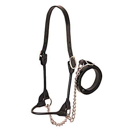 Rounded Show Cow Halter