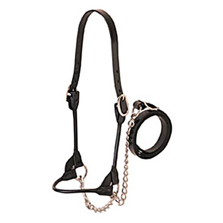 Rounded Show Heifer Halter