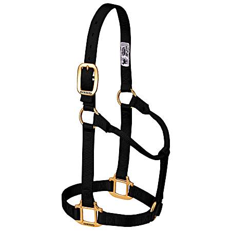 1 in Black Non-Adjustable Nylon Horse Halter