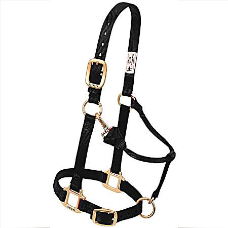 1 in Original Adjustable Nylon Horse Halter