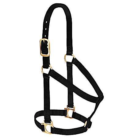 1 in Basic Non-Adjustable Nylon Halter