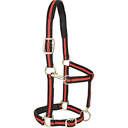 Padded Adjustable Snap Halter