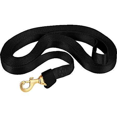 1 in x 24 ft Flat Nylon Lunge Line w/ Solid Brass Snap