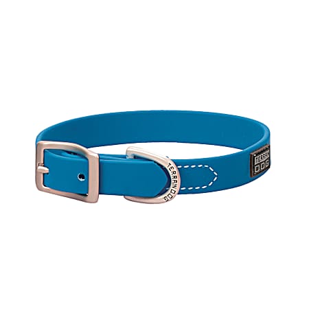 Hurricane Blue X-Treme Adventure Brahma Webb Dog Collar