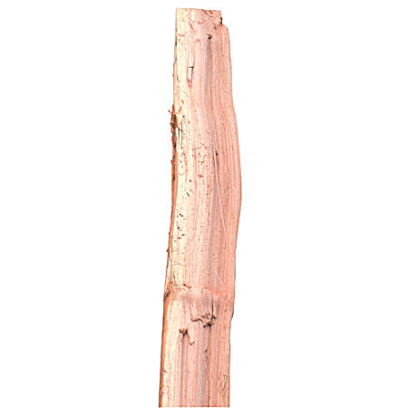 10 Ft Cedar Split Rail Hand Rail