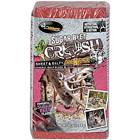 Sugar Beet Crush 4 lb Deer Salt Block