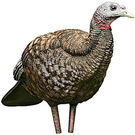LCD Breeder Turkey Decoy