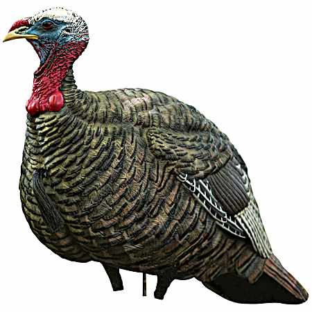LCD Quarter Strut Jake Turkey Decoy