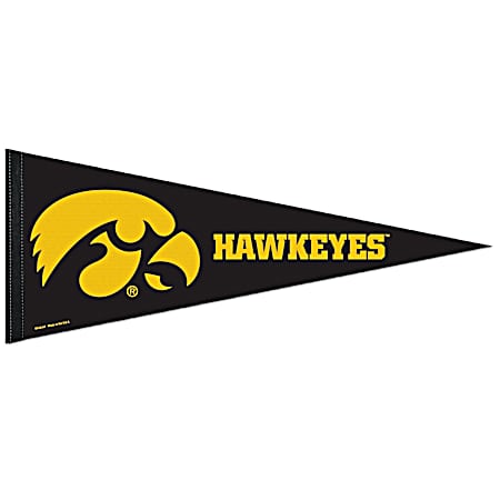 Iowa Hawkeyes Logo Premium Pennant