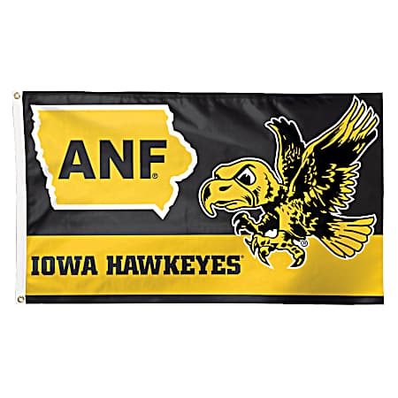 3 ft x 5 ft Iowa Hawkeyes Retro Vintage Deluxe Flag