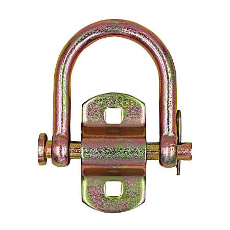 Heavy-Duty Removable D-Ring