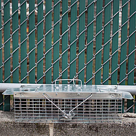 Small 2-Door Live Animal Trap