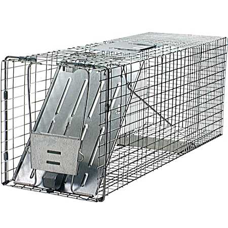 One Door Racoon Live Trap