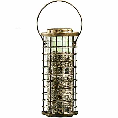 Squirrel Stumper Bird Feeder