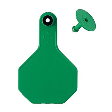 Medium Green 3 Star Blank Ear Tag - 25 Pk