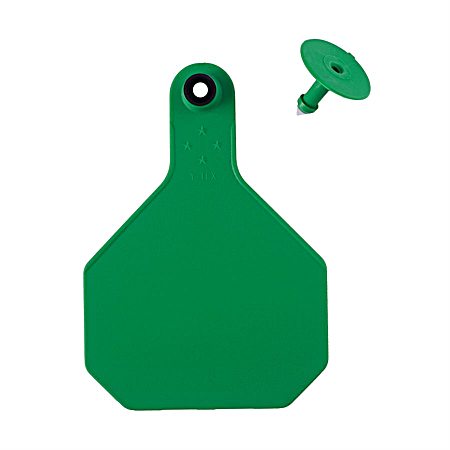 Large Green 4 Star Blank Ear Tag - 25 Pk