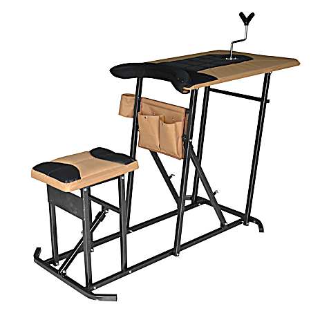 Deluxe Shooting Bench