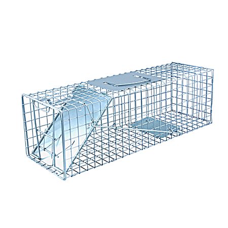 32 in Single Live Animal Trap