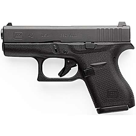 G42 .380 ACP Subcompact Black Double-Action Pistol