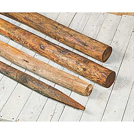 Treated Wood Fence Post w/ Pointed End