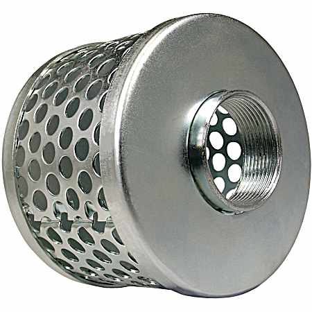 FPT Steel Basket Suction Strainer