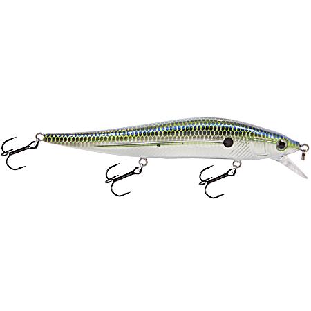 Chrome XXX Shad JerkMaster 121 Jerkbait