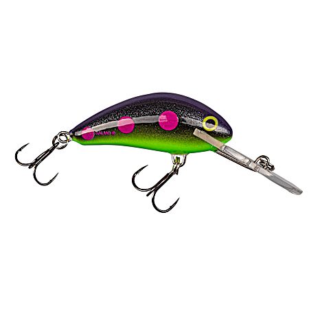 Blueberry Beast Floating Hornet Crankbait