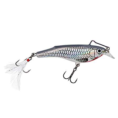Supernatural Shiner Rail Shad Sinking Crankbait