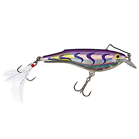 Holographic Purple Rail Shad Sinking Crankbait