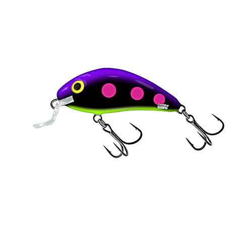 Blueberry Beast Rattling Hornet Shallow Runner Crankbait