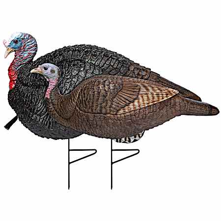 Gobstopper Lite Hen and Jake Combo