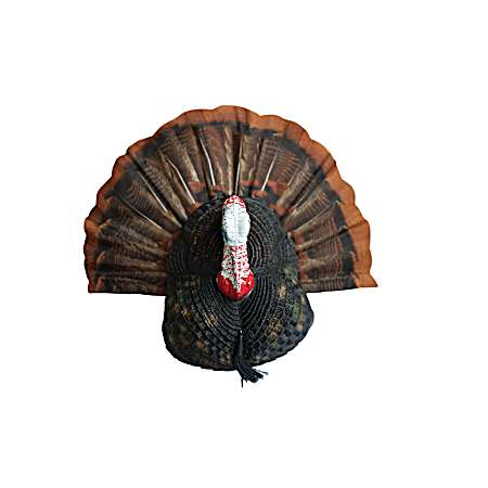 Quarter Body Tom Decoy