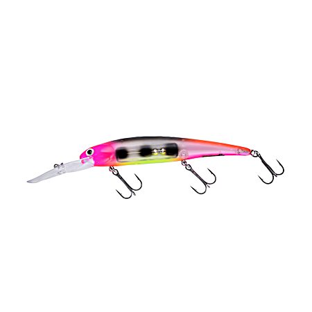 Rotten Fruit Walleye Deep Crankbait