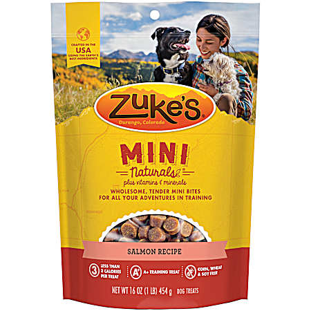 Mini Naturals Salmon Recipe Dog Training Treats