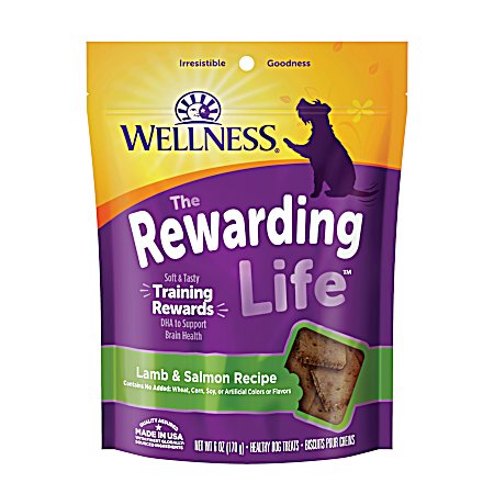 Rewarding Life Grain-Free Lamb & Salmon Soft Dog Training Treats, 6 oz