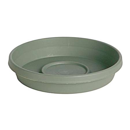 Terra Living Green Saucer