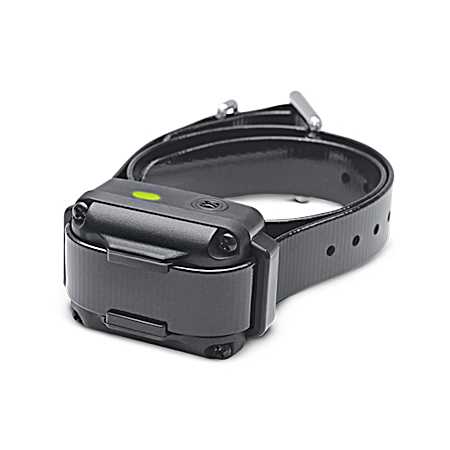 iQ Vibe Vibration Only No Bark Collar for Dogs