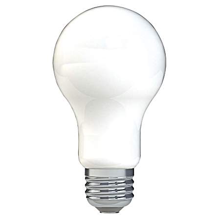 9W LED A19 Daylight Frosted Glass Indoor Light Bulbs - 3 Pk