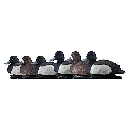 Topflight Blue Bills Decoys