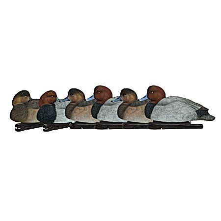 Topflight Redheads Decoys