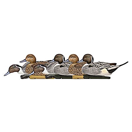 Topflight Pintails Decoys