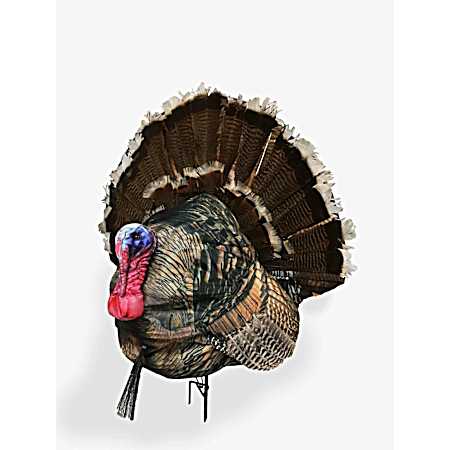 Wiley Tom 3D Decoy