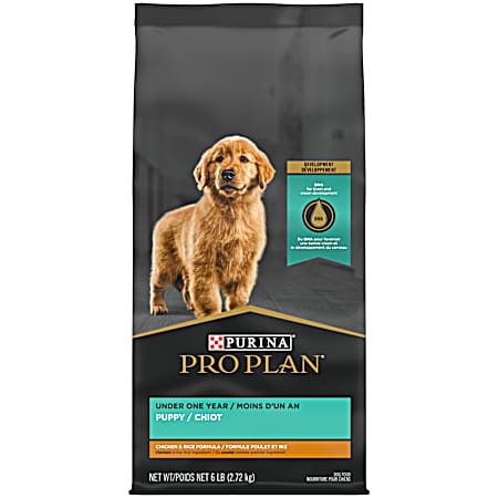 Pro Plan Development Puppy Shredded Blend Chicken & Rice Formula Dry Dog Food