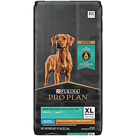 Pro Plan Development Puppy Large Breed Chicken & Rice Formula Dry Dog Food, 47 lbs