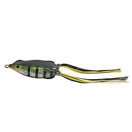 Reed-Runner Frog
