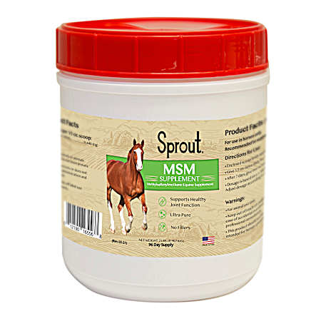 2 lbs MSM - Methylsulfonylmethane Supplement for Horses