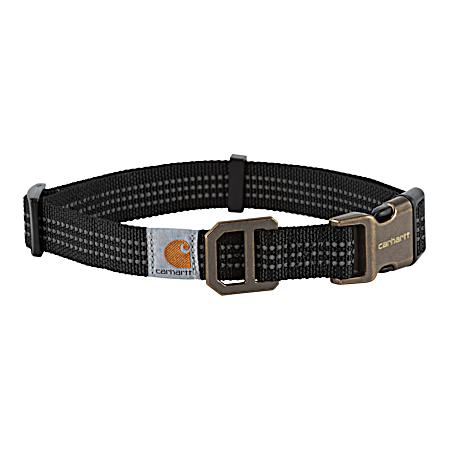 Black Dog Collar w/ Brushed Brass