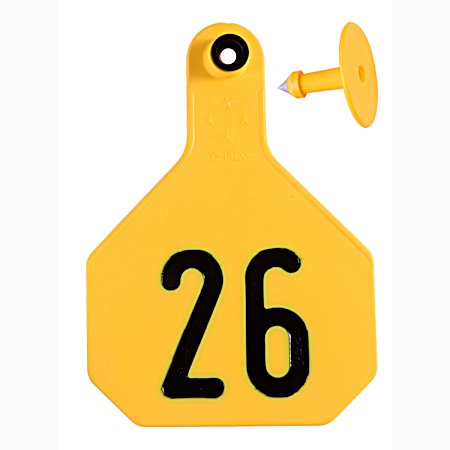 Livestock Tags Large 26-50