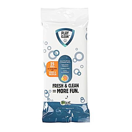 PlayClean Multipurpose Cleaning Wipes - 25 Ct