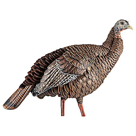 HDR Hen Decoy